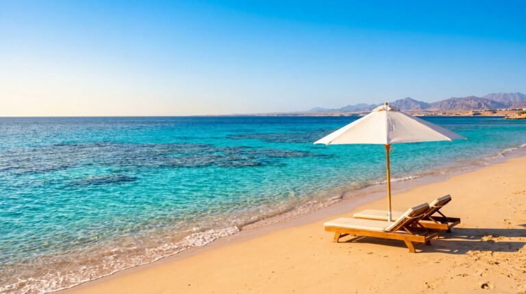 Eine majestätische Meeresschildkröte schwimmt über einem bunten Korallenriff im kristallklaren Roten Meer. Perfekte Bedingungen zum Tauchen in Hurghada im Mai abseits der Touristenmassen.